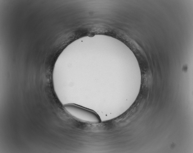 X0000116840517201001081501