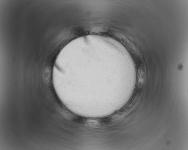 X0000116840519201001081501