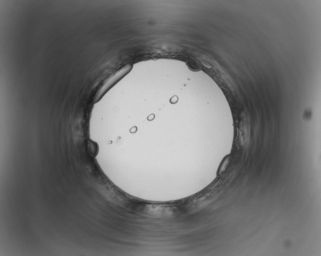 X0000116840520201001081501