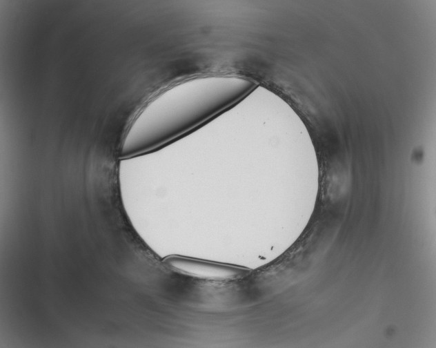 X0000116840521201001081501