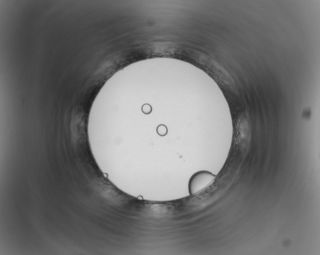 X0000116840522201001081501