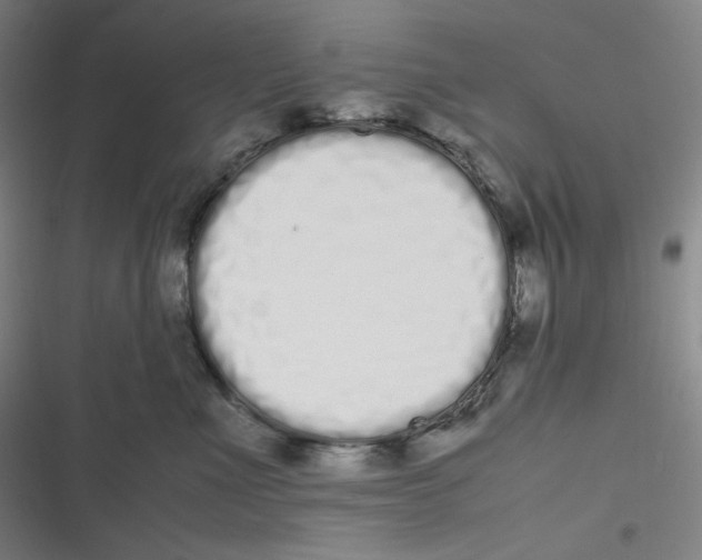 X0000116840523201001081501