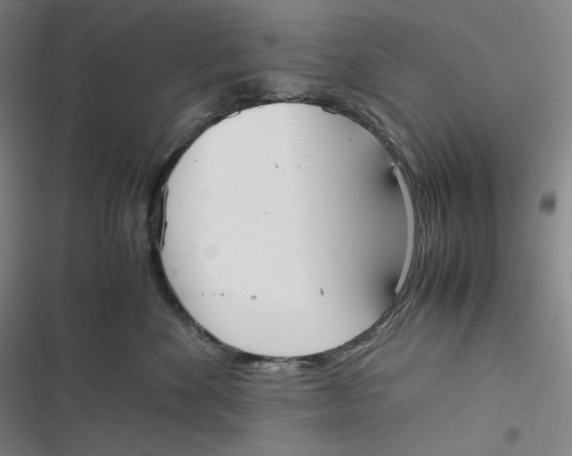 X0000116840524201001081501