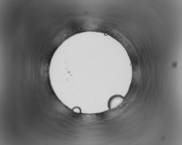 X0000116840525201001081501