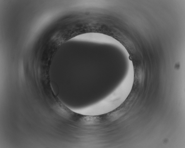 X0000116840526201001081501