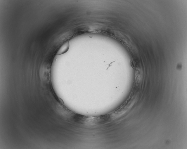 X0000116840527201001081501