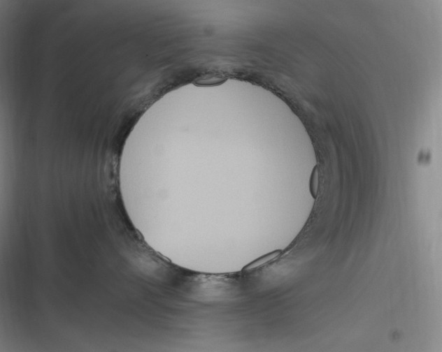 X0000116840528201001081501