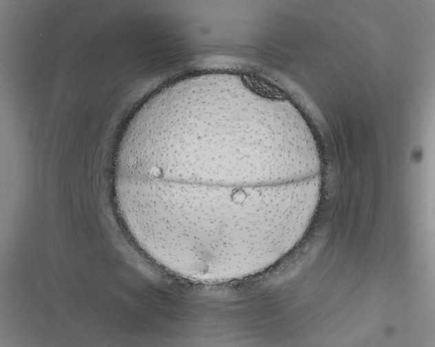 X0000116840529201001081500