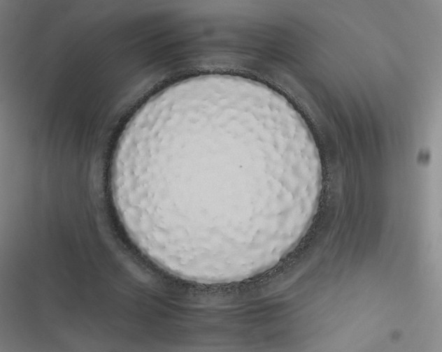 X0000116840533201001081500