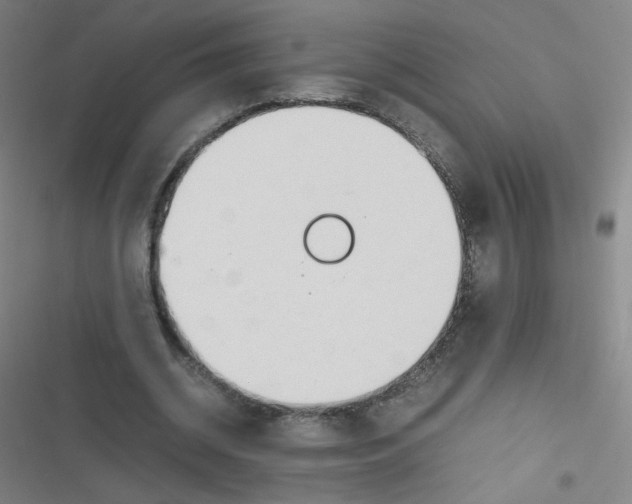 X0000116840534201001081500