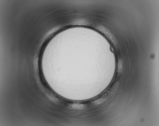 X0000116840535201001081500