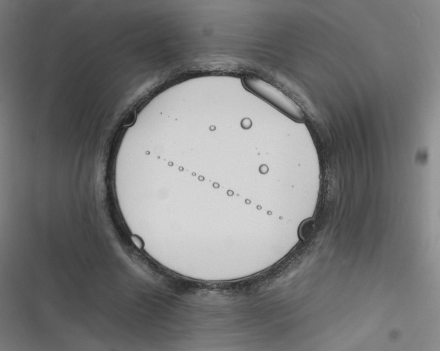 X0000116840538201001081500