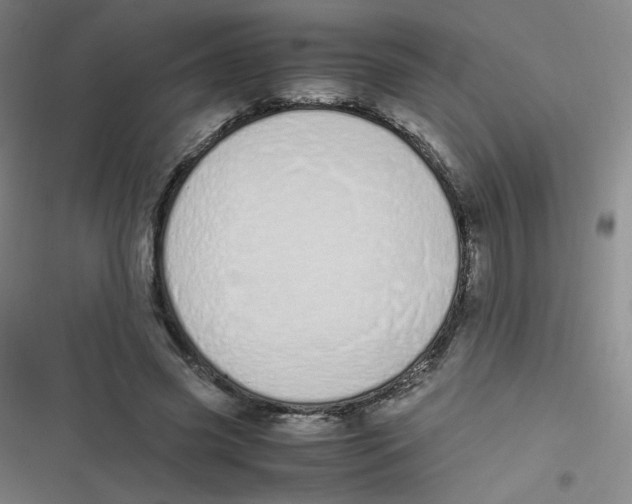 X0000116840541201001081501