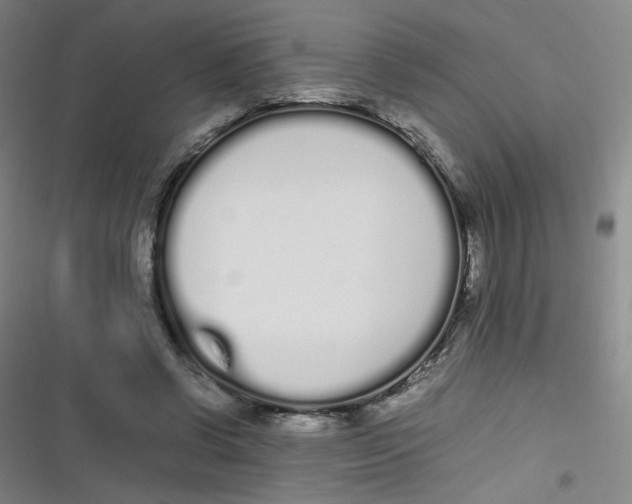 X0000116840542201001081501