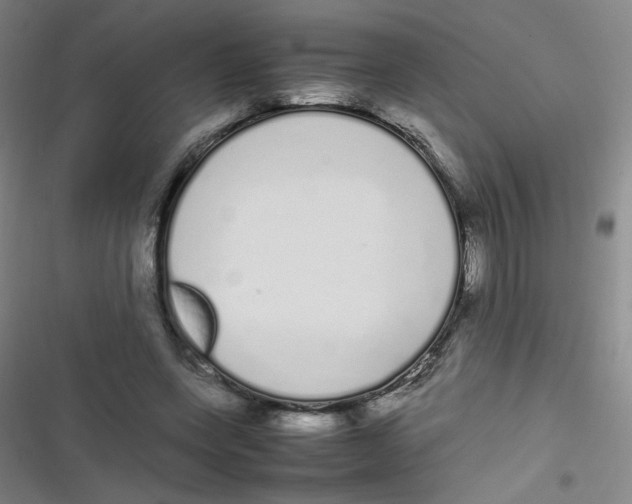 X0000116840543201001081501