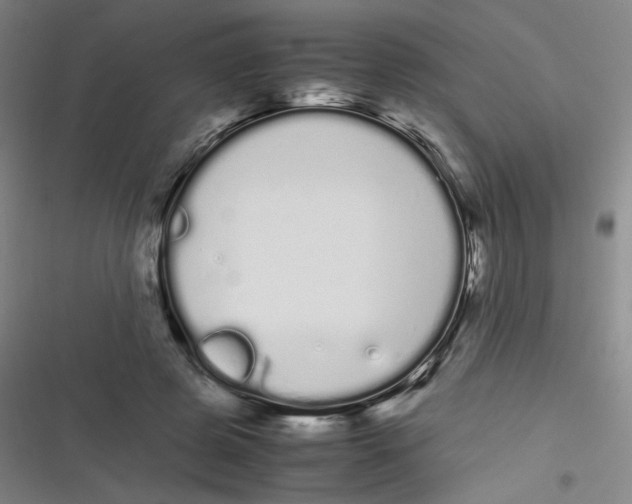 X0000116840545201001081501