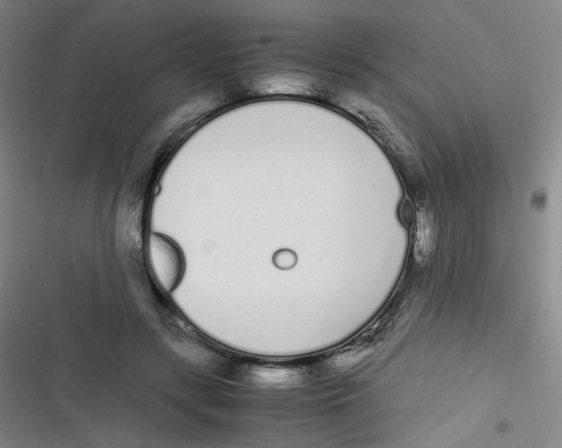 X0000116840547201001081501