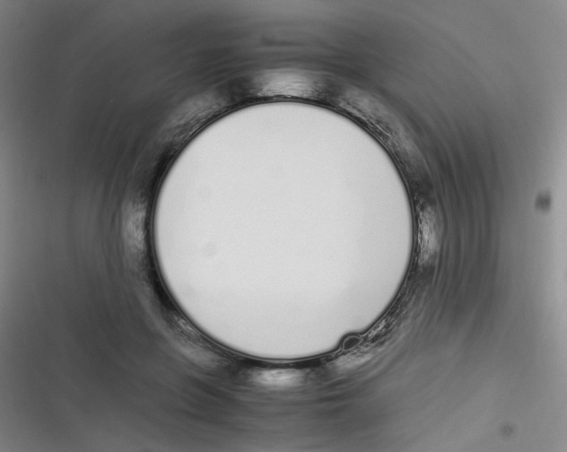 X0000116840551201001081501