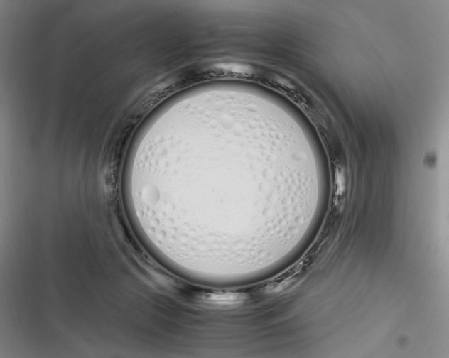 X0000116840553201001081501