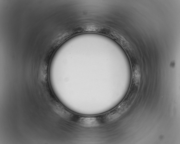 X0000116840554201001081501