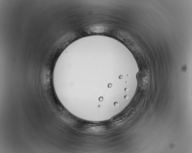 X0000116840555201001081501