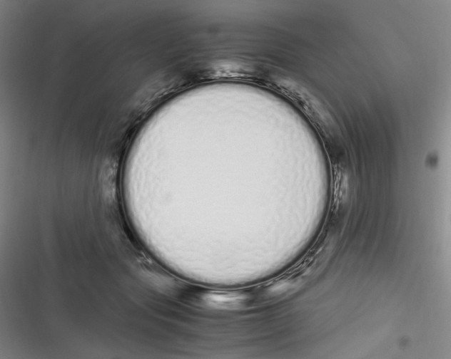 X0000116840557201001081501