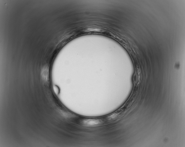 X0000116840559201001081501