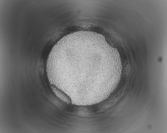 X0000116840562201001081501