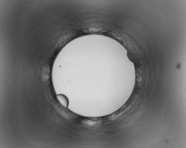 X0000116840563201001081501