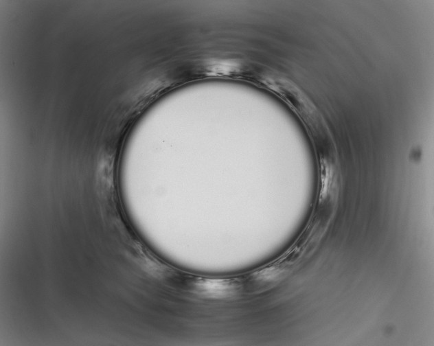 X0000116840565201001081501