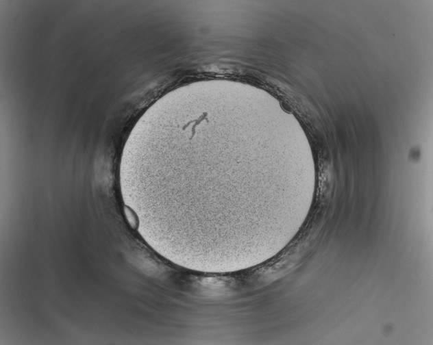 X0000116840566201001081501