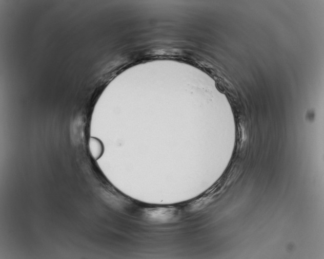 X0000116840567201001081501