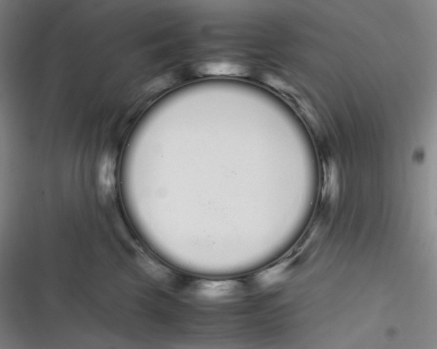 X0000116840569201001081501