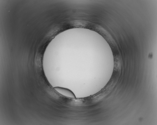 X0000116840573201001081501