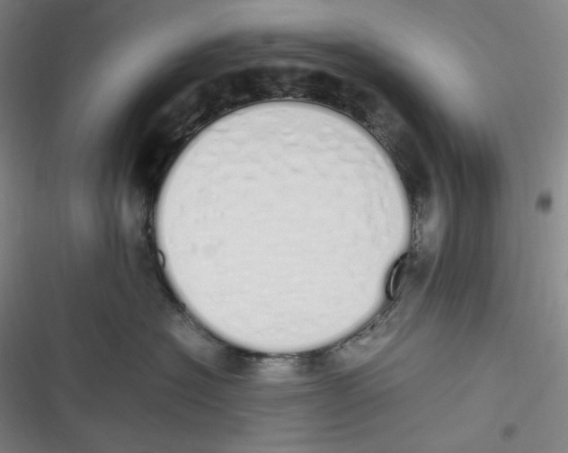 X0000116840574201001081501