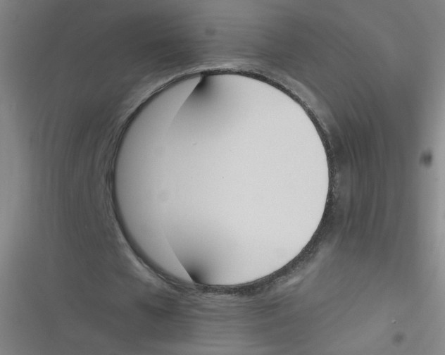 X0000116840577201001081500