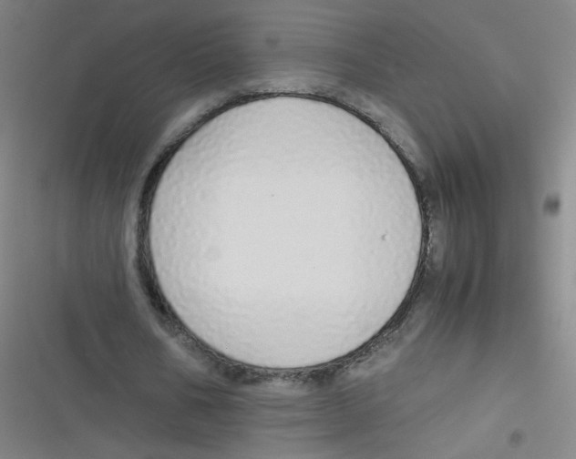 X0000116840578201001081500