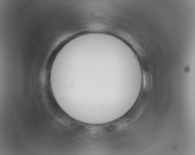 X0000116840579201001081500