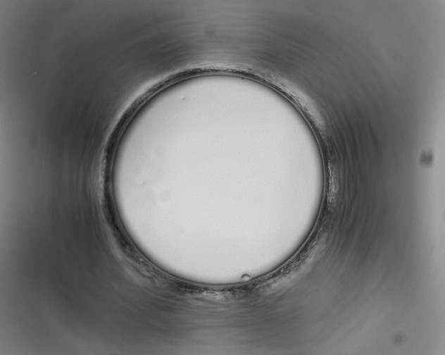 X0000116840580201001081500