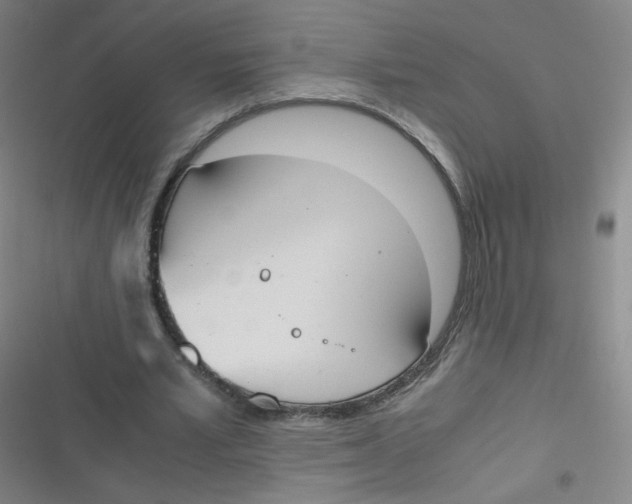 X0000116840581201001081500