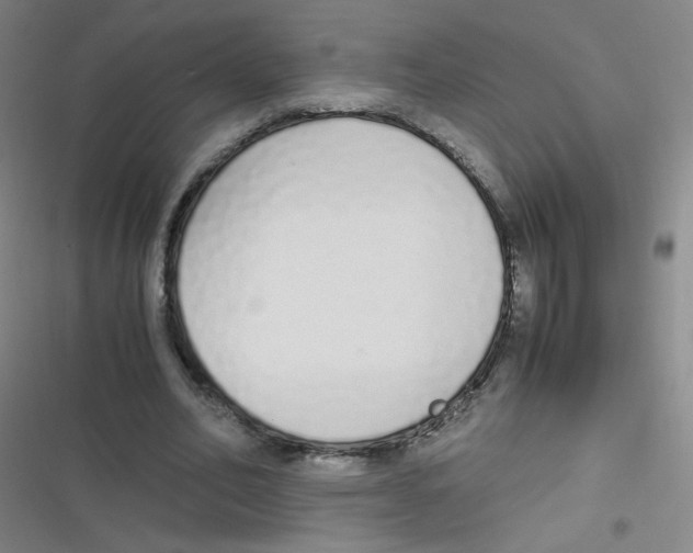 X0000116840582201001081500