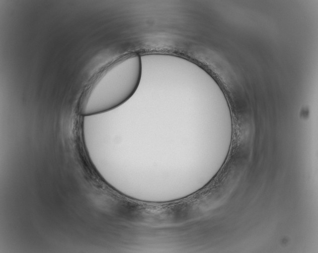 X0000116840583201001081500