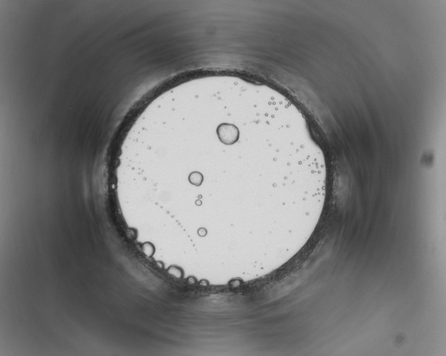 X0000116840584201001081500