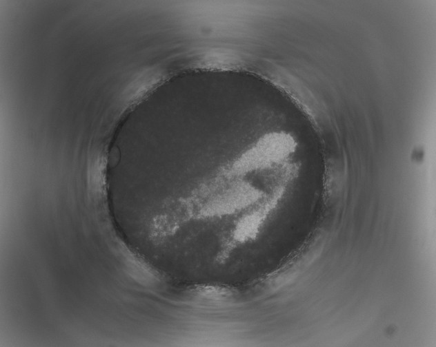 X0000116840585201001081500