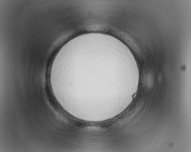 X0000116840586201001081500