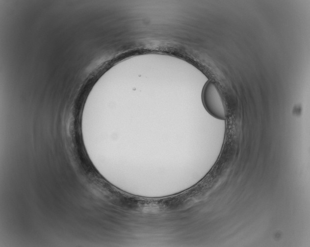 X0000116840587201001081500