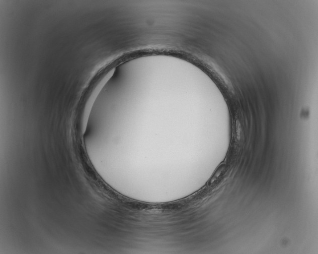 X0000116840588201001081500