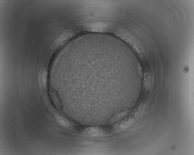 X0000116840589201001081500