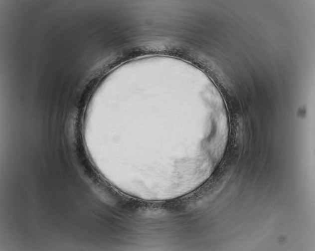 X0000116840590201001081500