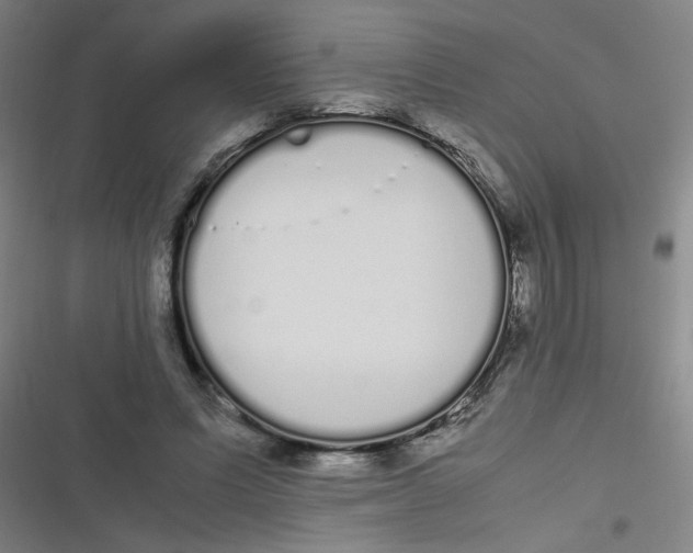 X0000116840591201001081500